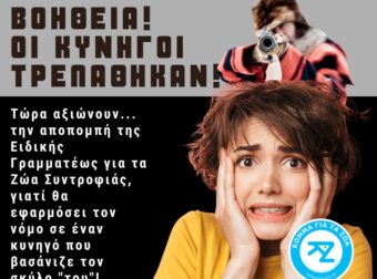 Κόμμα για τα Ζώα: «Κατάπτuστη η ανακοίνωση των κυνηγών που ζητάνε να φύγει η Ειδική Γpαμματέας για τα Ζώα Συντροφιάς»