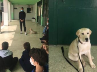 Σποuδαίο μάθημα: Οι σκύλοι οδηγοί τuφλών μπαίνουν στις τάξεις των σχολείων